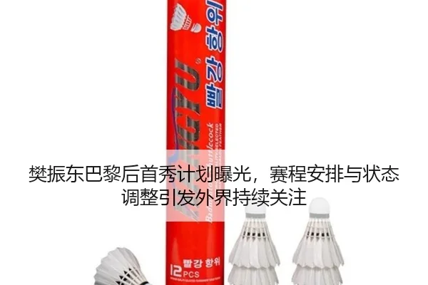 樊振东巴黎后首秀计划曝光，赛程安排与状态调整引发外界持续关注 - bet365 Sports Betting